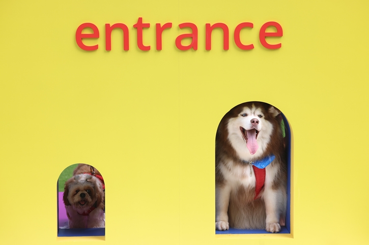 อิเกีย ตอกย้ำความเป็น Pet-friendly ชวนคนรักสัตว์เลี้ยงเช็คอิน งาน “เติมเต็มบ้านด้วยความรักและหัวใจคนฟู” ณ เอ็ม ยาร์ด 18-28 ก.ค. นี้