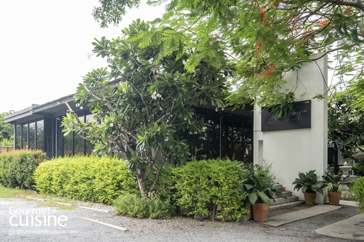 กินข้าว-ฟังเพลงบ้านเพื่อนที่ Byrd’s Nest CafeVino   