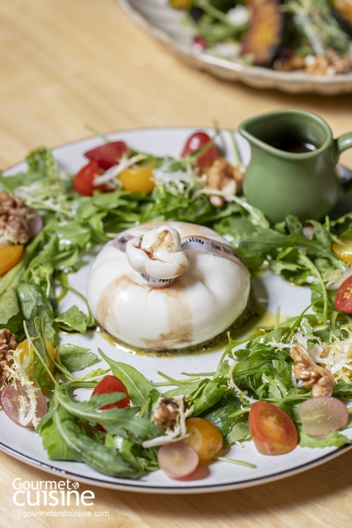 กินข้าว-ฟังเพลงบ้านเพื่อนที่ Byrd’s Nest CafeVino