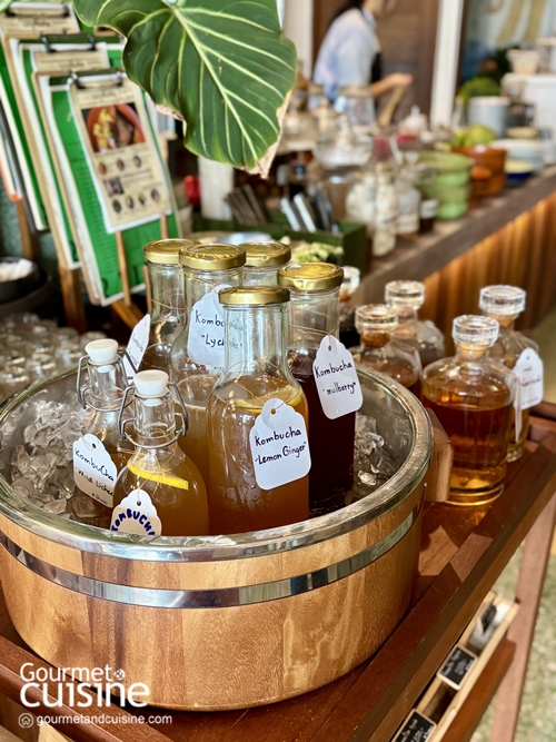 Kaenkrung “แก่นกรุง” อาหารอีสานร่วมสมัยย่านอรุณอัมรินทร์ที่ครองใจนักกินจนติดทำเนียบมิชลินไกด์ 2025  