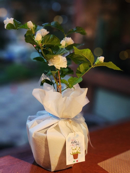 ฉลองวันแม่แห่งชาติด้วยบุฟเฟต์นานาชาติสุดพรีเมียม ที่โรงแรม ดิ เอมเมอรัลด์