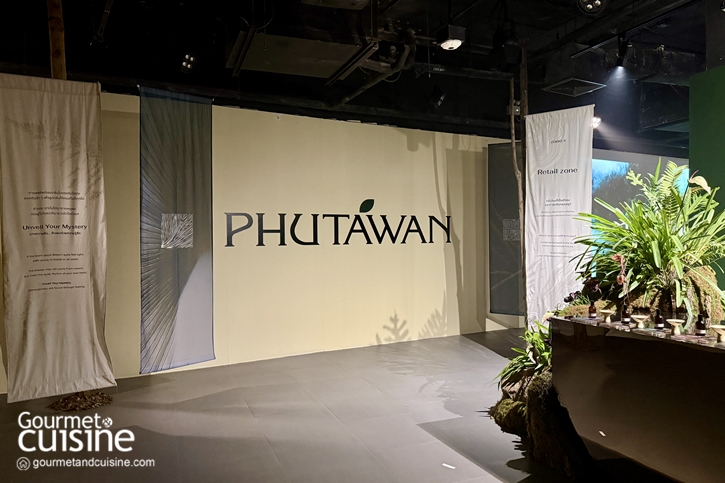 ชวนเสพงานศิลป์ เข้าชมฟรี! ก่อนหมดเดือนสิงหาคม 2568 นี้ ที่ River City Bangkok