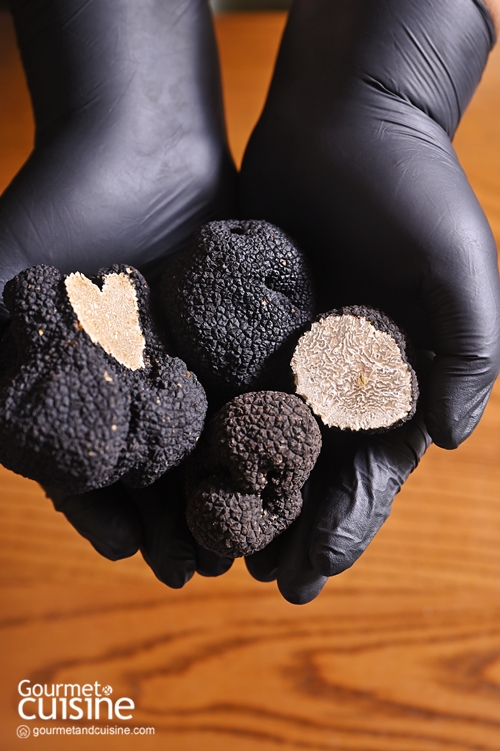 ทรัฟเฟิล และคาเวียร์ สินค้าตัวท็อปจาก TrufflEAT ผู้นำเข้าวัตถุดิบพรีเมียมจากต่างประเทศ
