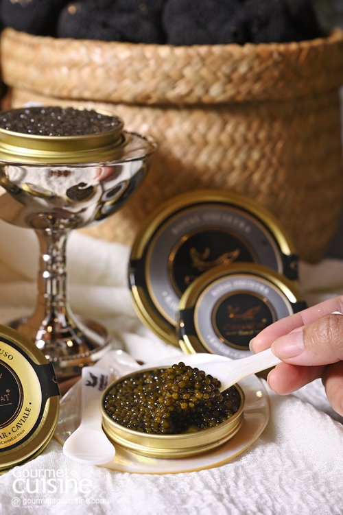 ทรัฟเฟิล และคาเวียร์ สินค้าตัวท็อปจาก TrufflEAT ผู้นำเข้าวัตถุดิบพรีเมียมจากต่างประเทศ