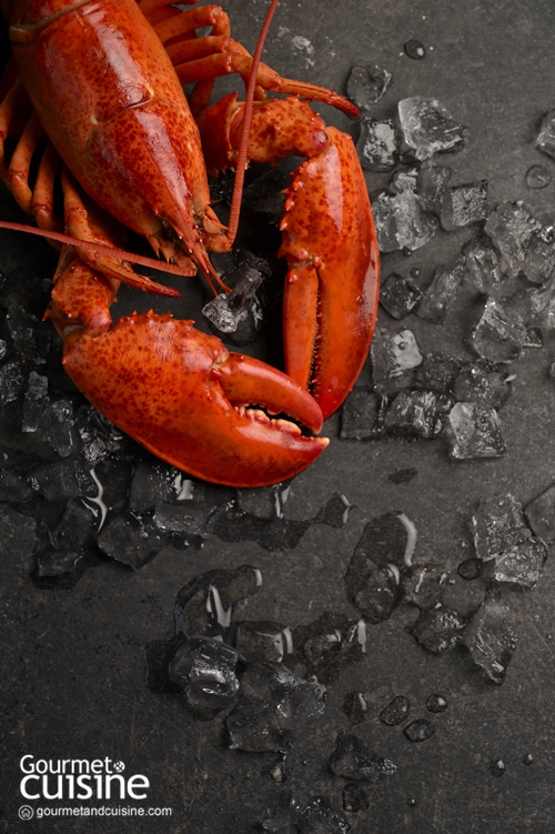 ล็อบสเตอร์