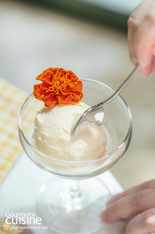 ลองไปชิม “ชุดน้ำชายามบ่ายธีมน้ำผึ้งออร์แกนิก” ของ Hyatt Regency Bangkok Sukhumvit