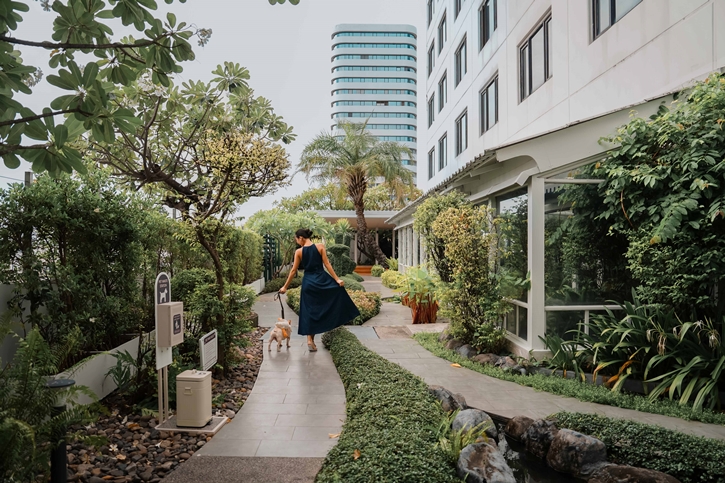 โรงแรมอวานี รัชดา กรุงเทพฯ เอาใจ Pet Lover เปิดห้องพักต้อนรับน้องหมาน้องแมว