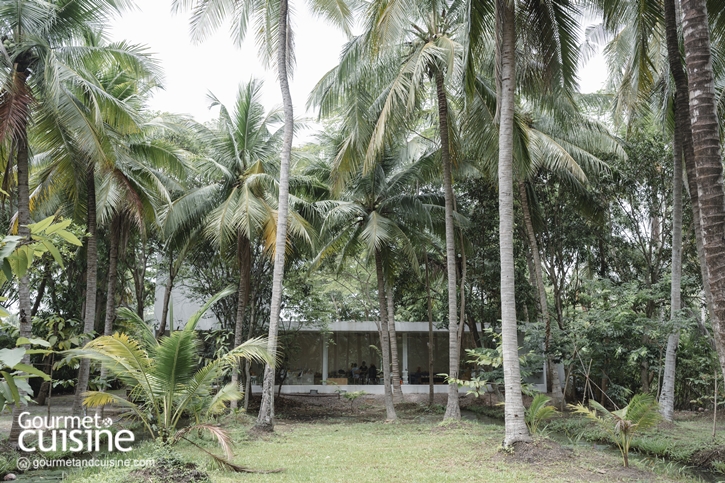 Clayceracera Studio สตูดิโอเซรามิกที่ให้เราใช้เวลาอยู่กับดิน