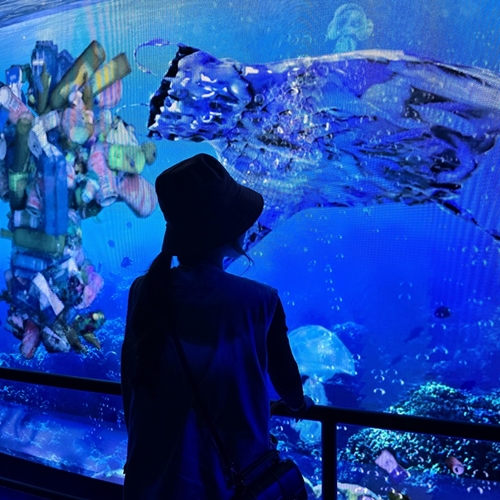 เคทีซี – AWC พาครอบครัวไทยผจญภัยจูราสสิค เวิลด์ ดันท่องเที่ยว-การเรียนรู้นอกห้องเรียน