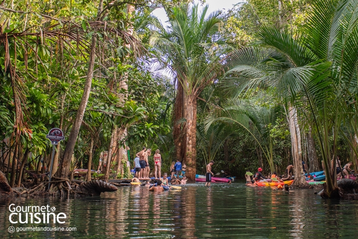 สนุกจนลืมโลกนอกจอกับ 5 ไฮไลต์ Stay in Jurassic Paradise by Avani ณ อ่าวนาง และ เกาะลันตา จ.กระบี่