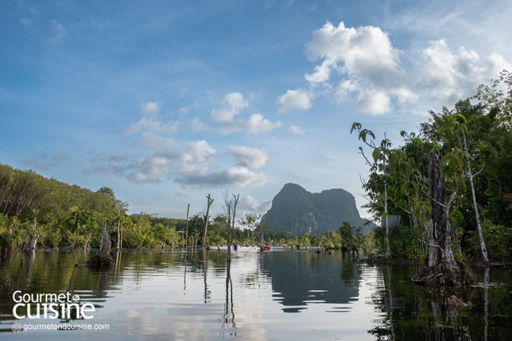 สนุกจนลืมโลกนอกจอกับ 5 ไฮไลต์ Stay in Jurassic Paradise by Avani ณ อ่าวนาง และ เกาะลันตา จ.กระบี่