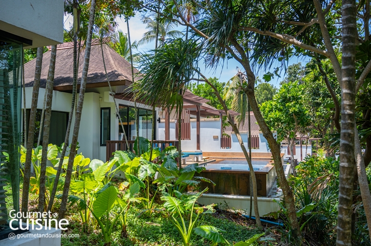 สนุกจนลืมโลกนอกจอกับ 5 ไฮไลต์ Stay in Jurassic Paradise by Avani ณ อ่าวนาง และ เกาะลันตา จ.กระบี่