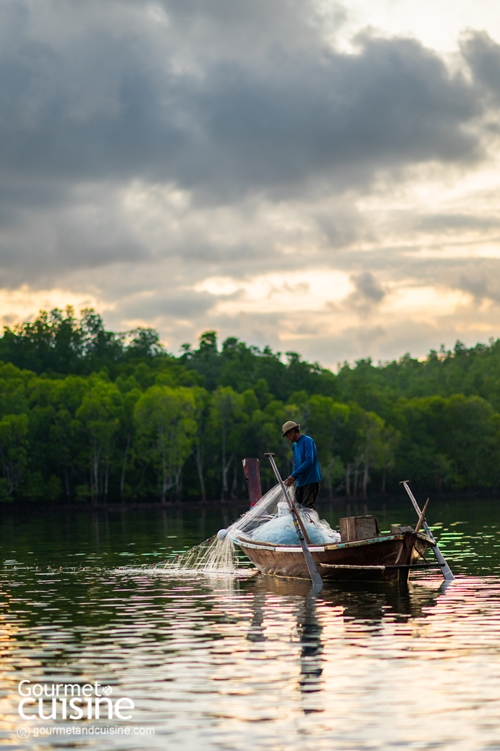 สนุกจนลืมโลกนอกจอกับ 5 ไฮไลต์ Stay in Jurassic Paradise by Avani ณ อ่าวนาง และ เกาะลันตา จ.กระบี่
