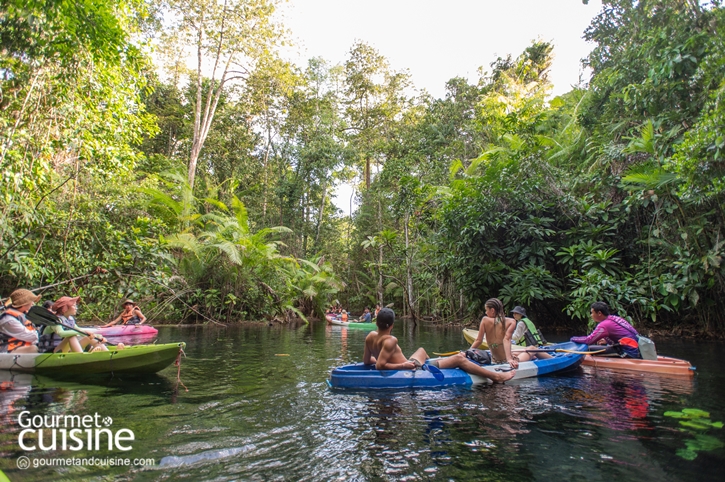 สนุกจนลืมโลกนอกจอกับ 5 ไฮไลต์ Stay in Jurassic Paradise by Avani ณ อ่าวนาง และ เกาะลันตา จ.กระบี่