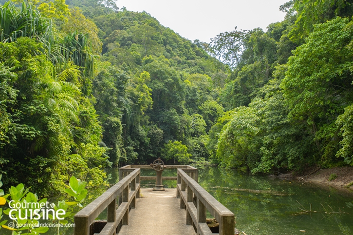 สนุกจนลืมโลกนอกจอกับ 5 ไฮไลต์ Stay in Jurassic Paradise by Avani ณ อ่าวนาง และ เกาะลันตา จ.กระบี่