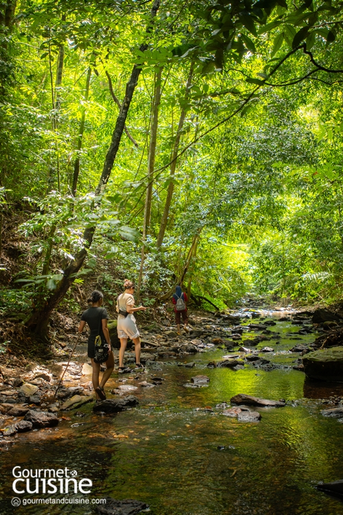 สนุกจนลืมโลกนอกจอกับ 5 ไฮไลต์ Stay in Jurassic Paradise by Avani ณ อ่าวนาง และ เกาะลันตา จ.กระบี่