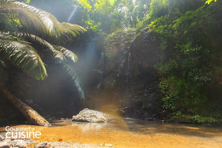 สนุกจนลืมโลกนอกจอกับ 5 ไฮไลต์ Stay in Jurassic Paradise by Avani ณ อ่าวนาง และ เกาะลันตา จ.กระบี่