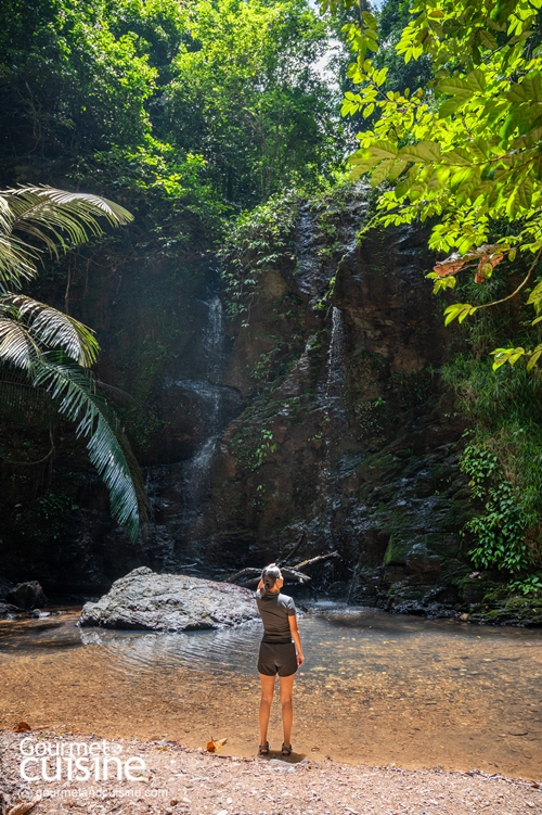 สนุกจนลืมโลกนอกจอกับ 5 ไฮไลต์ Stay in Jurassic Paradise by Avani ณ อ่าวนาง และ เกาะลันตา จ.กระบี่