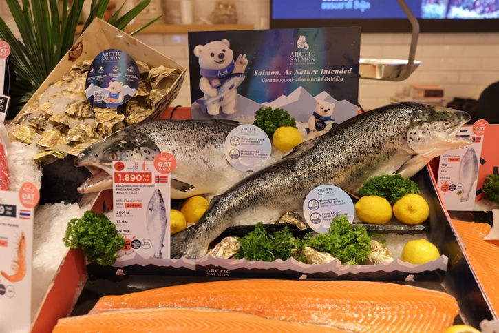 ธรรมชาติซีฟู้ด เปิดตัว ‘อาร์กติก แซลมอน’ ครั้งแรกในไทย ตั้งมาตรฐานใหม่ของปลาแซลมอนระดับพรีเมียม