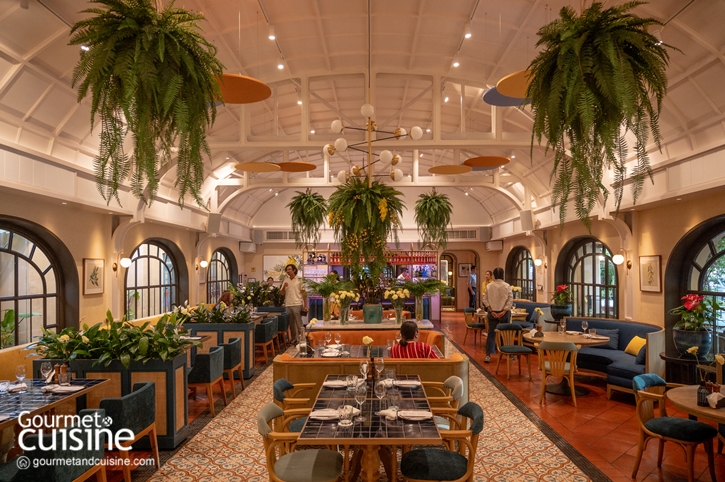 Mimosa Italian Mediterranean Restaurant