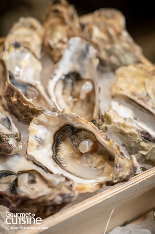 ซีฟู้ดออนไอซ์