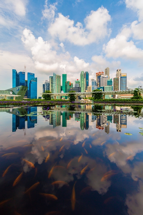 สมาคมถ่ายภาพฯ ในพระบรมราชูปถัมภ์ จัดโครงการ “ASEAN SX Photo Contest 2025”  เวทีประกวดภาพถ่ายเพื่อความยั่งยืนระดับอาเซียน