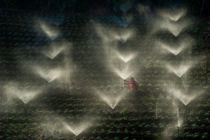 สมาคมถ่ายภาพฯ ในพระบรมราชูปถัมภ์ จัดโครงการ “ASEAN SX Photo Contest 2025”  เวทีประกวดภาพถ่ายเพื่อความยั่งยืนระดับอาเซียน