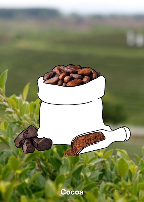 ชวนรู้จัก 5 เครื่องดื่มคราฟต์ในไทย พร้อมเปิดประสบการณ์กินดื่มไปกับเสน่ห์ท้องถิ่น