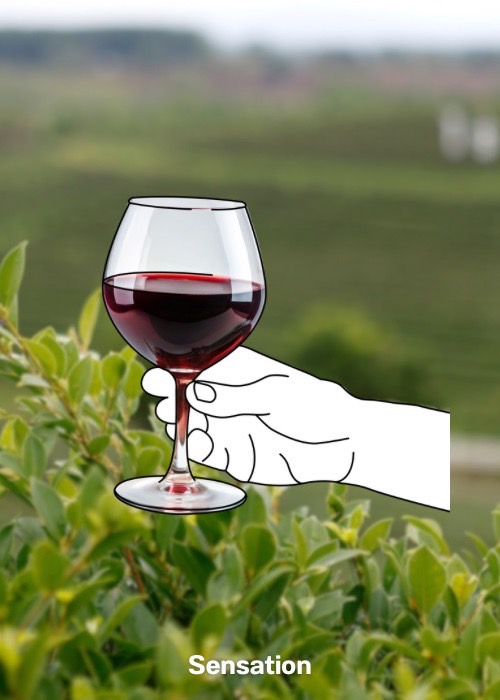 ชวนรู้จัก 5 เครื่องดื่มคราฟต์ในไทย พร้อมเปิดประสบการณ์กินดื่มไปกับเสน่ห์ท้องถิ่น