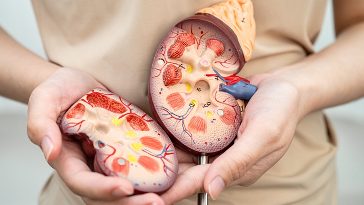 กินไม่เค็มก็เสี่ยงโรคไตได้ รู้จักโซเดียมแฝงที่ทำร้ายสุขภาพแบบไม่ทันรู้ตัว