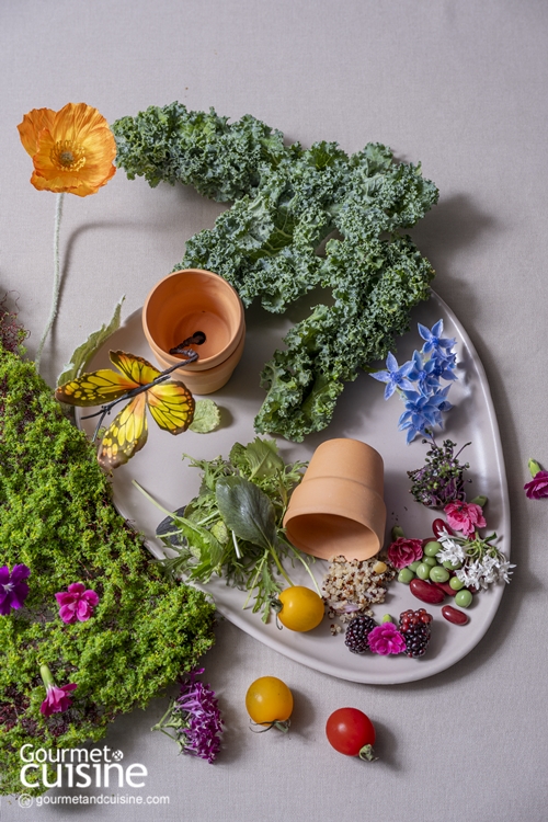 Garden Healthy Party ไอเดียตกแต่งจานสลัดและธัญพืขให้น่ารักราวกระถางดอกไม้