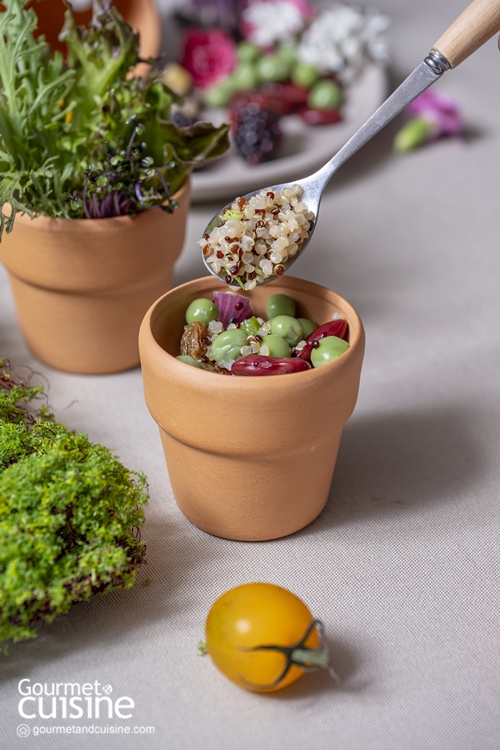 Garden Healthy Party ไอเดียตกแต่งจานสลัดและธัญพืขให้น่ารักราวกระถางดอกไม้