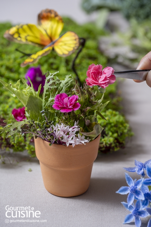 Garden Healthy Party ไอเดียตกแต่งจานสลัดและธัญพืขให้น่ารักราวกระถางดอกไม้