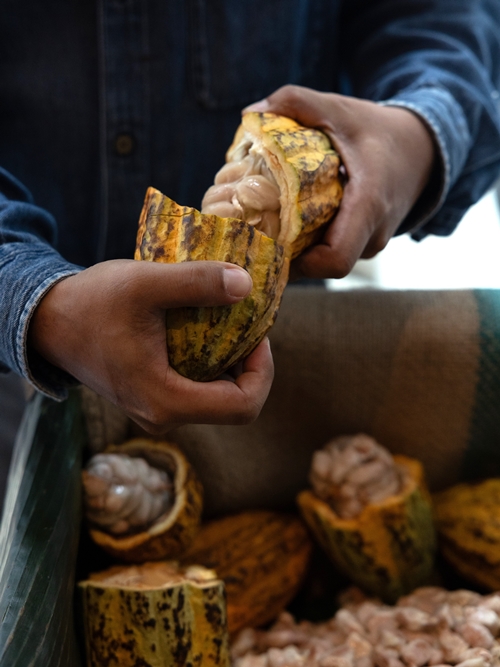 เดอะ ริทซ์-คาร์ลตัน กรุงเทพฯ มอบชุดน้ำชายามบ่ายสำหรับคนรักช็อกโกแลต “Chocolate Atelier at Caleõ” ปิดท้าย Marriott International 2025 Luxury Dining Series