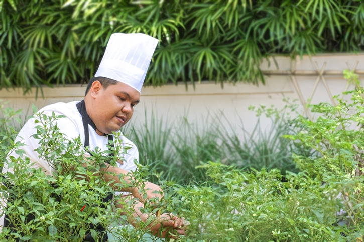 สันติบุรี เกาะสมุย ชวนชิมรสชาติจากท้องถิ่นกับเซตเมนูใหม่ในโครงการ 100 Miles Dining อิ่มอร่อยและได้ร่วมปลูกต้นไม้ เพื่อคืนสีเขียวให้โลก