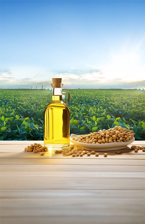 น้ำมันถั่วเหลืองจากสหรัฐอเมริกา ตัวเลือกเพื่อสุขภาพและโลกที่ยั่งยืน