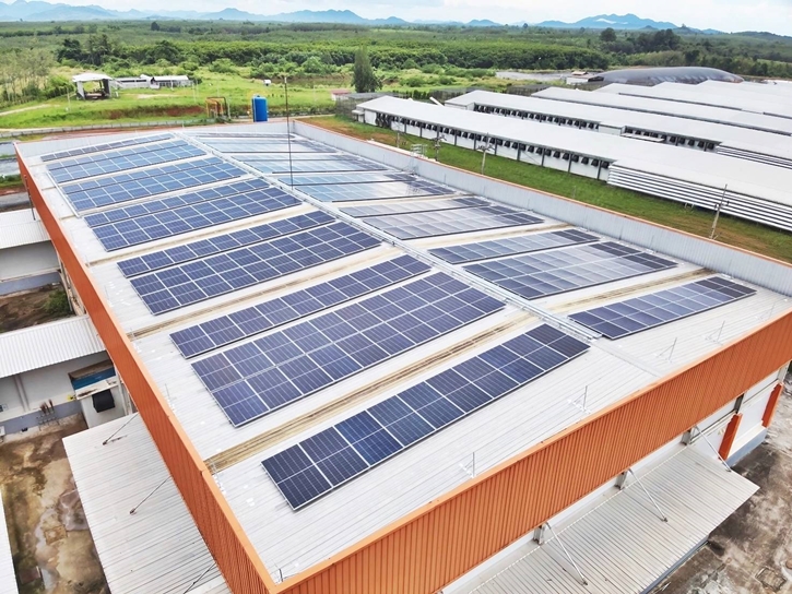 "คอมเพล็กซ์ไก่ไข่จันทบุรี" ฟาร์มต้นแบบใช้พลังงานทดแทน 100% ของ CPF คว้า ASEAN Energy Awards 2025 