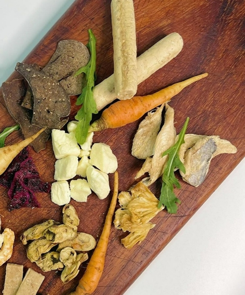 VIVIN Suk 22 เปิดตัว  “Dog Day Afternoon – Doggy Hangout” กิจกรรมใหม่สำหรับคนรักสุนัข เริ่ม 25 ตุลาคมนี้