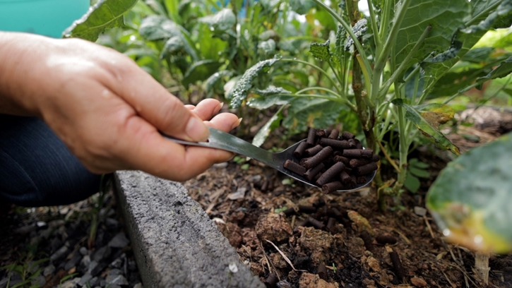 ซีพี แอ็กซ์ตร้า ยกระดับโมเดล “ลดทิ้ง สร้างค่า AXTRA Zero Waste” จัดการอาหารส่วนเกินครบวงจร ตั้งแต่ต้นน้ำถึงปลายน้ำ พร้อมสร้างเศรษฐกิจหมุนเวียน