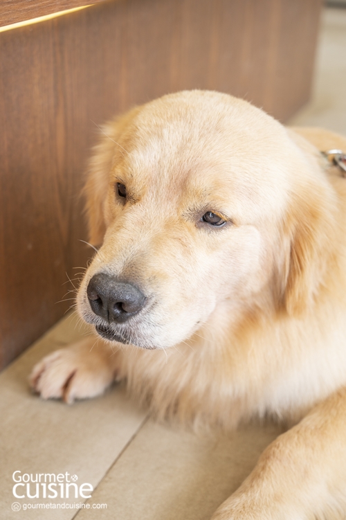 TEDS Coffee & Eatery คาเฟ่เชียงใหม่ที่ซ่อนความน่ารักเกินต้านไว้ด้านใน