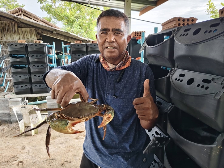 “ปูขาวอินทรีย์” สินค้าเศรษฐกิจตัวใหม่ สร้างคุณค่าเพิ่มและรายได้ยั่งยืนให้เกษตรกร