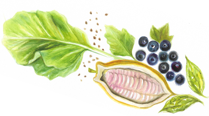 A Taste of Bitterness เรื่องราวของ "ความขม" อีกหนึ่งสเน่ห์ของรสชาติที่ไม่อาจมองข้าม