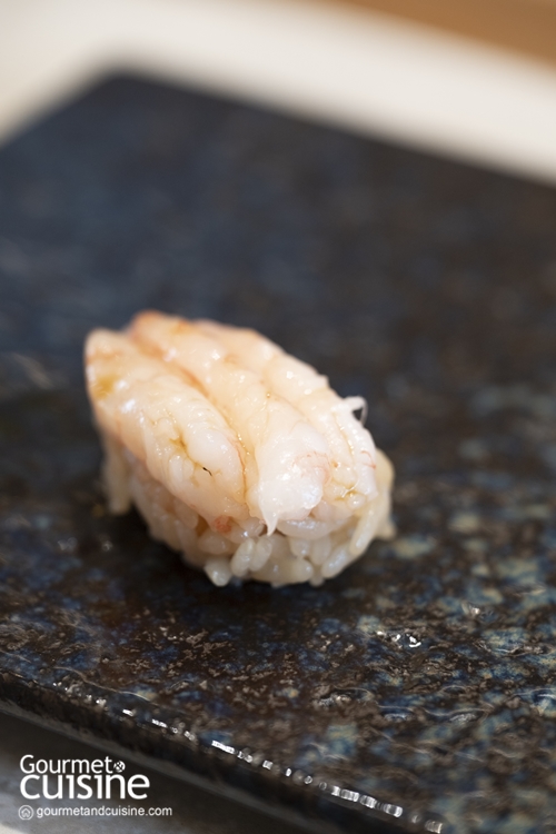 Hotaru 119 Omakase สาขาพระราม 9 เสิร์ฟคอร์สสุดพรีเมียมด้วยวัตถุดิบตามฤดูกาล 