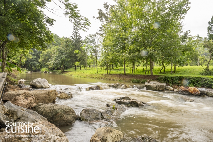 Canary Farm Cafe & Restaurant เชียงราย คาเฟ่วิวหลักล้านที่มีแต่ของอร่อยให้ตกหลุมรัก 