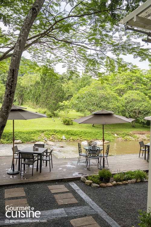 Canary Farm Cafe & Restaurant เชียงราย คาเฟ่วิวหลักล้านที่มีแต่ของอร่อยให้ตกหลุมรัก 