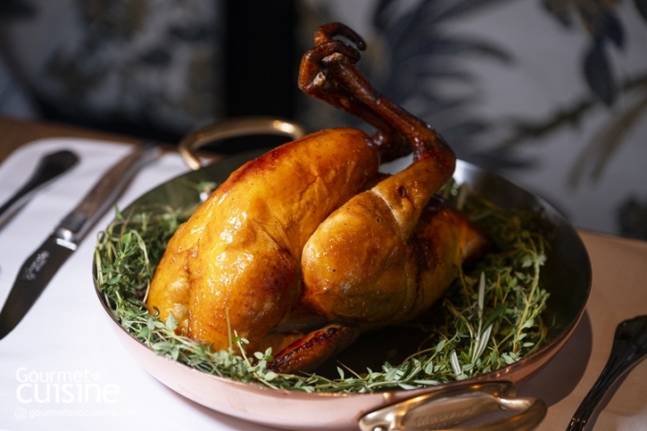 วันขอบคุณพระเจ้า Palmier by Guillaume Galliot