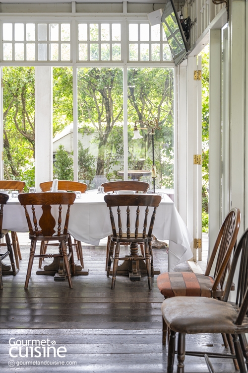 ชีวิตธรรมดา เชียงราย คาเฟ่วินเทจริมแม่น้ำกกที่มีแมวเหมียวคอยต้อนรับอย่างอบอุ่น