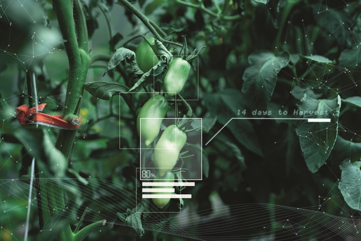 การใช้ปัญญาประดิษฐ์ AI ในงานโภชนาการ (ตอน 2)