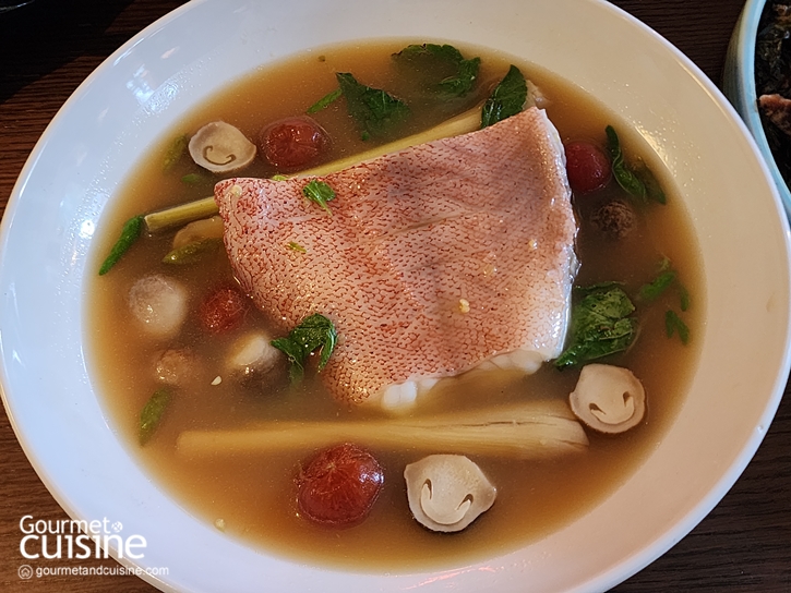 นาราไทย คูซีน เปิด “CHEF’S STUDIO” ชวนเชฟเบนซ์ จาก Seasoning 36 ประเดิมสำรับฤดูหนาว 