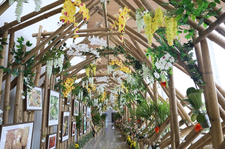 WONDARA – The Power of Flower – Immersive Exhibition แลนด์มาร์กท่องเที่ยวแห่งใหม่ จ.ระยอง